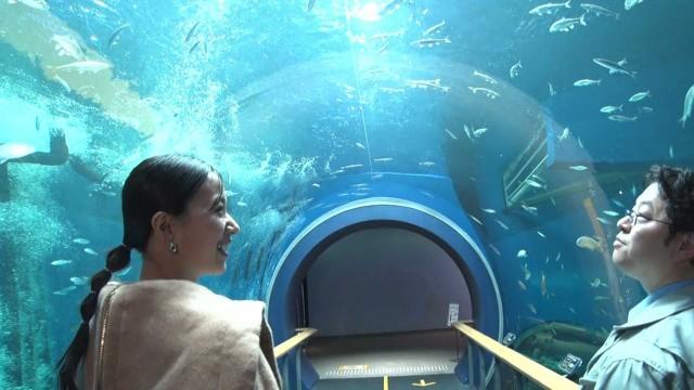 滋賀県立琵琶湖博物館