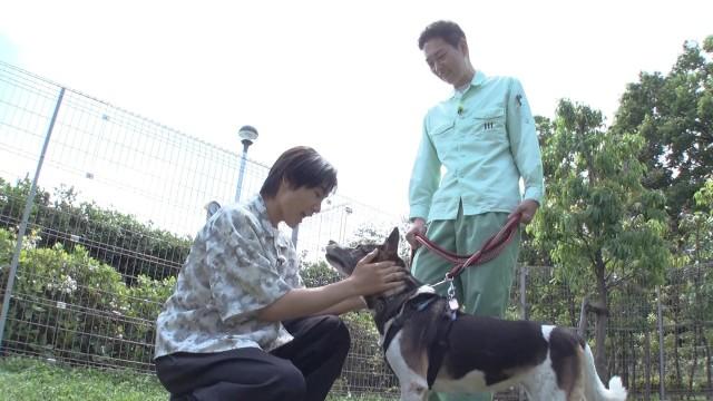 川崎市動物愛護センター アニマモールかわさき