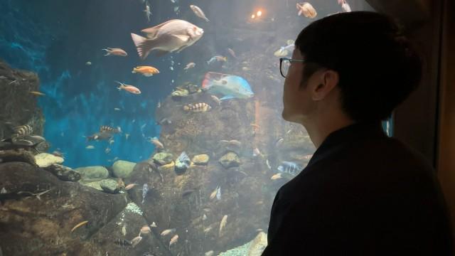世界淡水魚園水族館 アクア・トト ぎふ