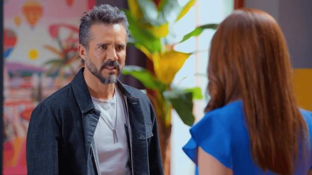 No se van a ir de aquí