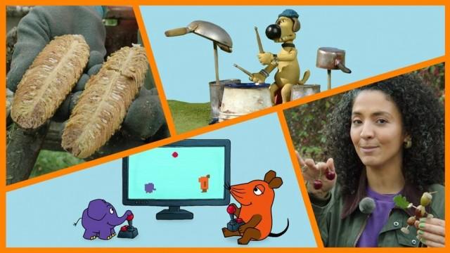 Wie werden Baumsamen gewonnen? | Schöne Haare | Shaun das Schaf: Drachen