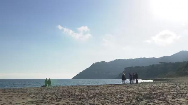 Überlebenskampf auf Mallorca