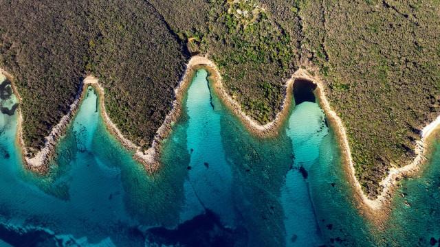 Croatia's wild coast – Among vultures and brown bears