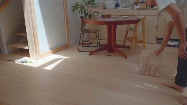 どうぶつがいろいろでてきますSP 2