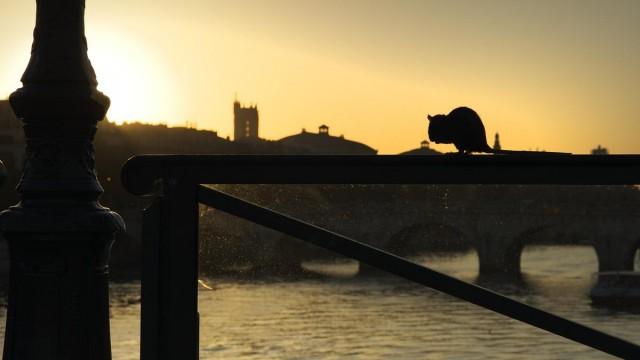 Faszination Europa: Zwischen Stadt und Land