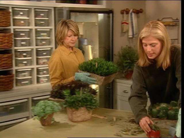 Chicken Gumbo; BBQ Shrimp; Cactus