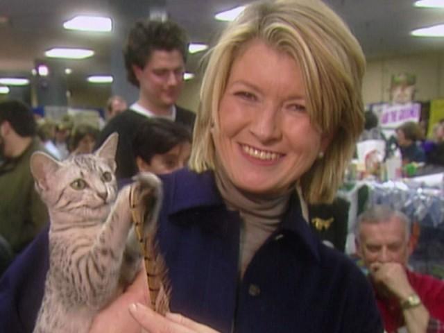 Cat Club Show (Field Trip); Peanut Butter and Jelly Bars