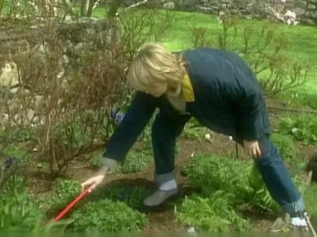 Spring Garden Clean Up; Urn Planting; Taffeta Pillow