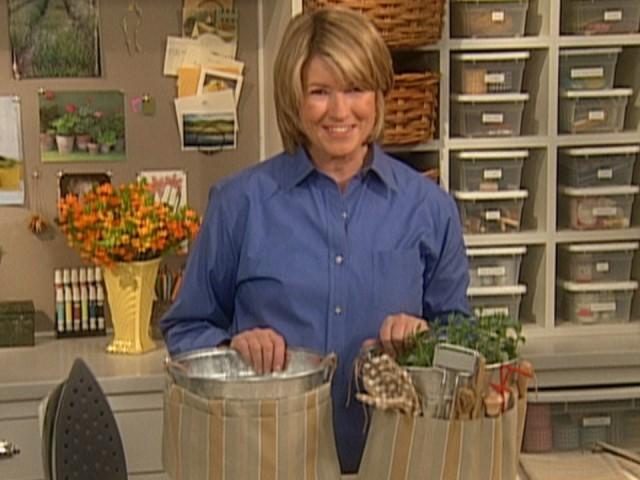 Pruning Tools; Dover Sole; Bird Care; Staghorn Ferns