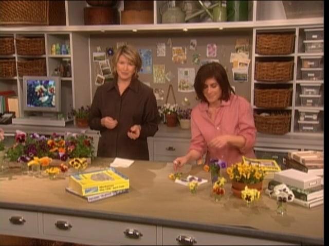 Pansies; Skarstad Violins; Animal Families