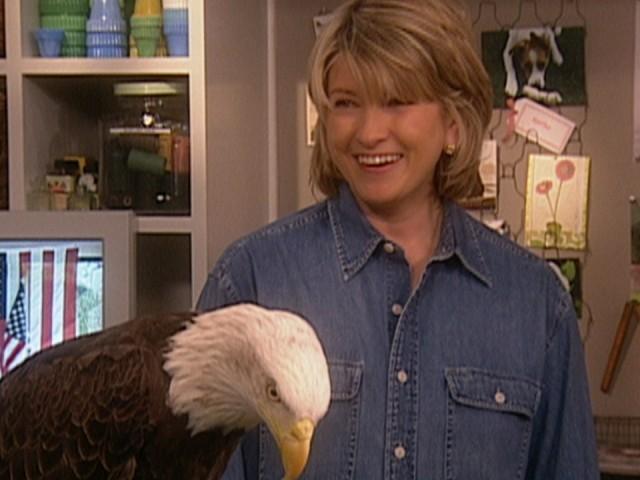 Berry Cupcakes; Salmon Fishing; Bubble Wands