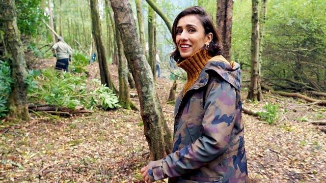 Chatsworth: An Evolving Estate