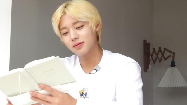 Lv.13 WINK-CATION: June's Picture Diary