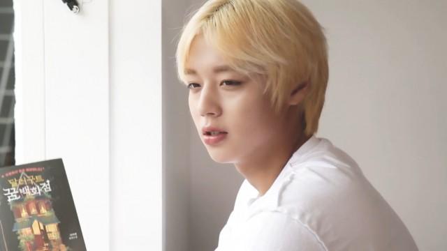 Lv.14 WINK-CATION: A Summer Day's Log