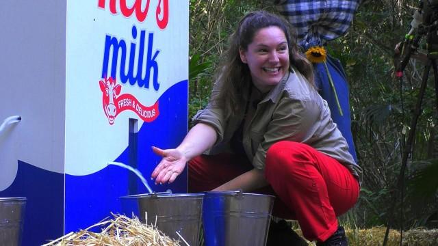 The Misfortune Tellers