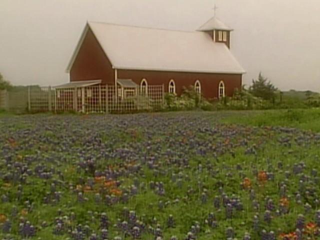 Antique Rose Emporium; Granny Foster's Refrigerator Rolls