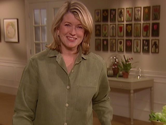 Lettuce Glossary; Outdoor Spaces; Instant Fruit Sorbet