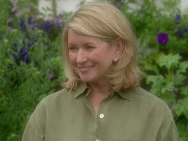 Summertime Iced Tea; Goat Cheese Cake with Peaches