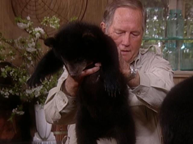 Turkey Paillard Sandwich; Hiking 101; Mudslide Cookies