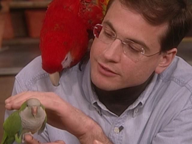 Potato Salad; Peanut Butter and Jelly Cookies