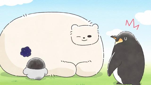 Polar Bear's Secret Pocket