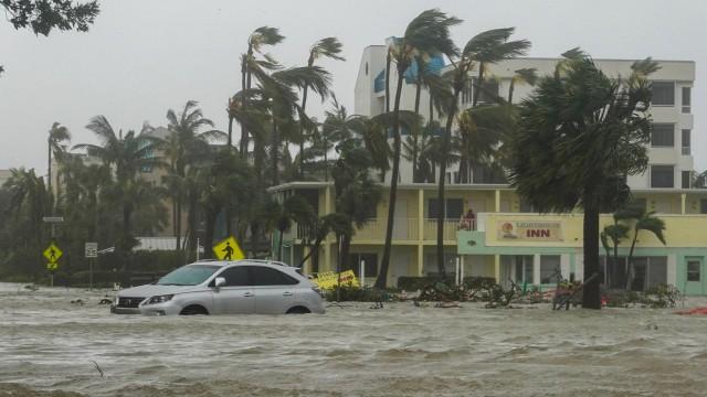 Category 5: Fight to Survive