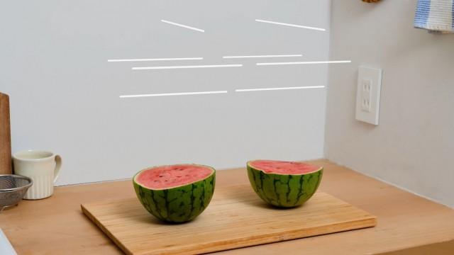 ▽今日のフルーツ ▽新しい生物 ハシノドン