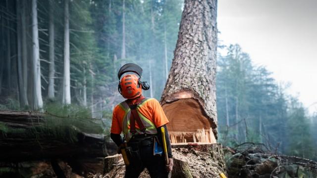 The King-Maker Claim