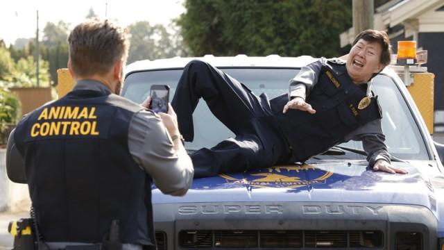 Bagged Birds and Alley Dogs