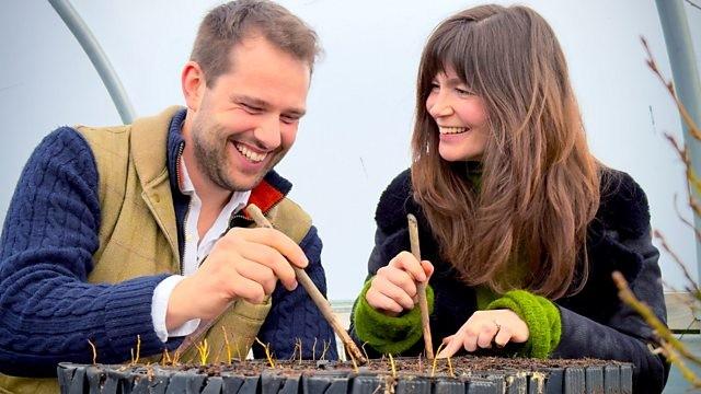 Fern Fever and Far East Finds