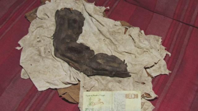 Mummified Finger of a Giant, Independence Day Bigfoot, & UFO Wave