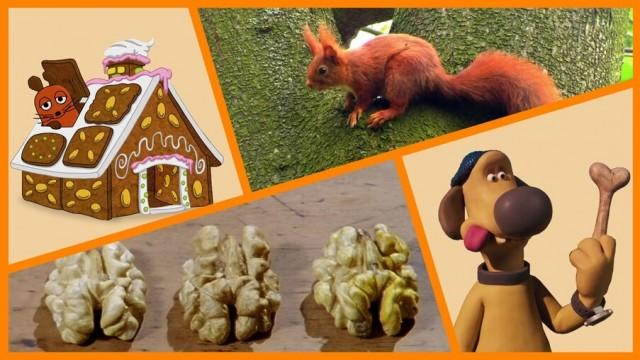 Geheimnis des Walnuss-Knackens | zwei Bären im Schnee | Eichhörnchen beim Springen | Shaun das Schaf: Auf der Suche nach einem Knochen