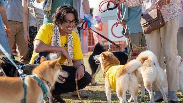 シバONEフェスだワン!