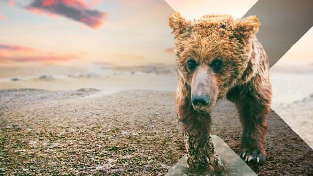 Asien (3) - Wilde Wüsten