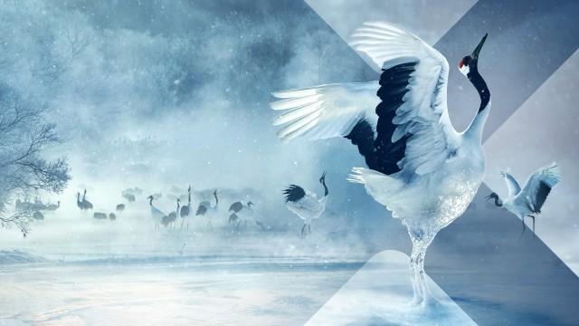 Asien (1) - Wilder Norden