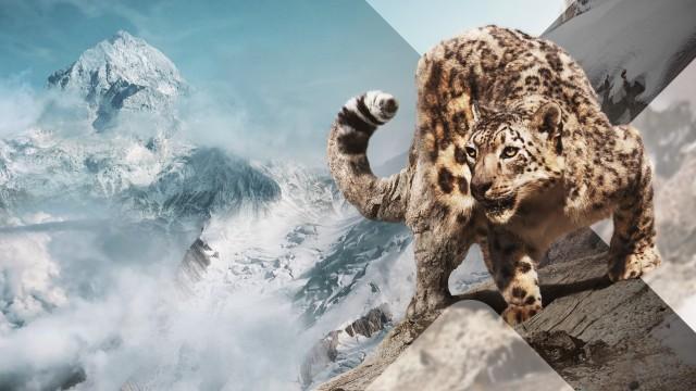 Asien (2) - Wilde Berge