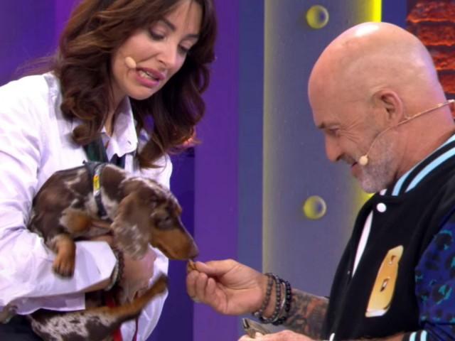 Émission 14 : spéciale toutous