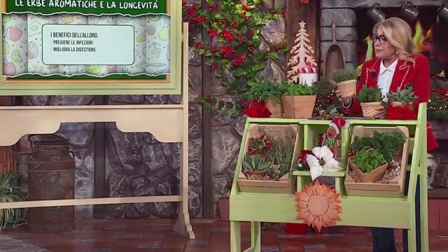 Puntata del 28/11/2025