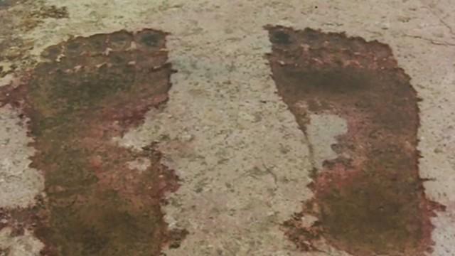 Classic UFO Case, Ancient Titan Footprints, & The Beast at the Bottom of the Lake