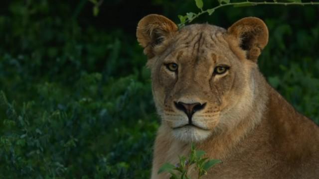 Safety in Numbers (Hide and Seek)