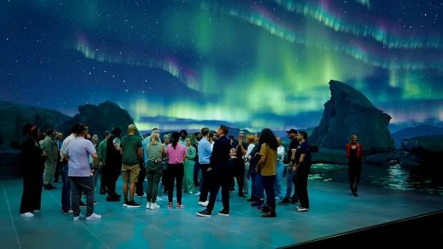 Den Regenwald vor lauter Bäumen nicht sehen!