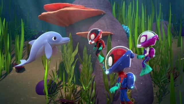 Delfine unter Kontrolle