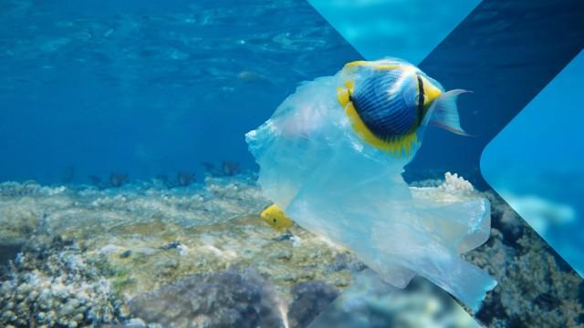 Natur - die Geschichte unseres Planeten