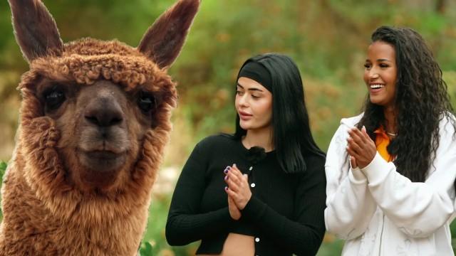 Bienvenidos, Peru! Das Anden-Abenteuer beginnt!