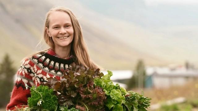 Das Gemüsewunder von Island