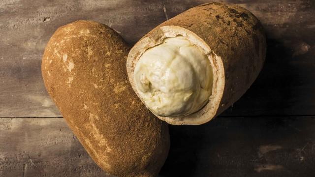 Amazonian Flavors and Traditions: Cassava, Cocoa, and Cupuaçu (SciCast #672)