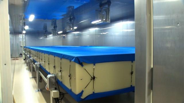 Automated Ginjo Koji Makers