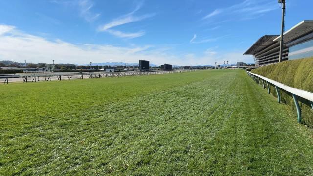 東京競馬場 第2弾