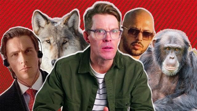 What Everyone Gets Wrong About Alpha Males