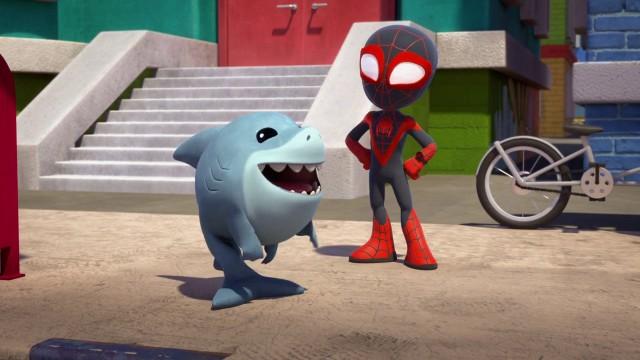 Kleiner Landhai in der großen Stadt